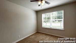 Building Photo - 722 Sage Thrasher