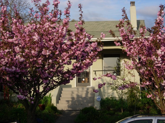 Building Photo - 6740 11th Ave NW