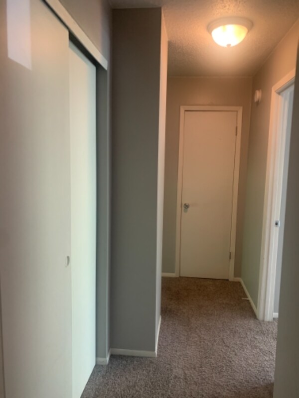 Building Photo - 3205 Schuetzen Ln