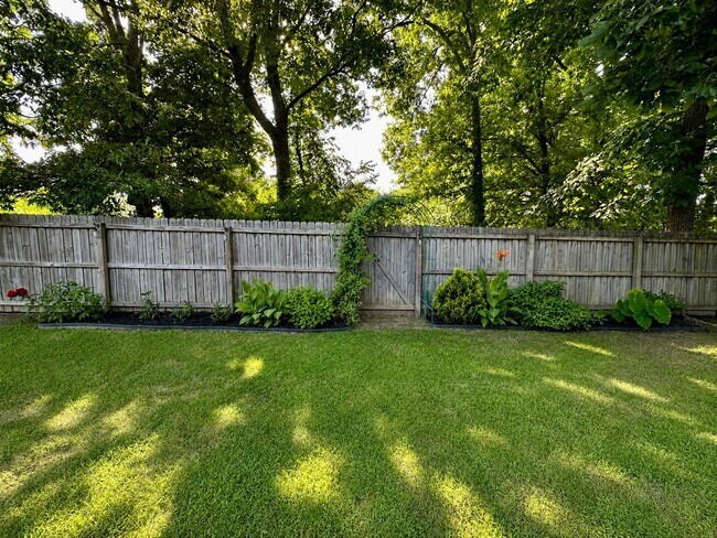 Foto del edificio - 3211 Shadow Green Ln