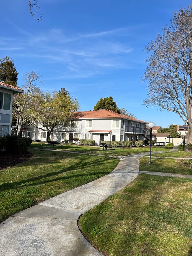 Building Photo - 5042 Bridgepointe Pl