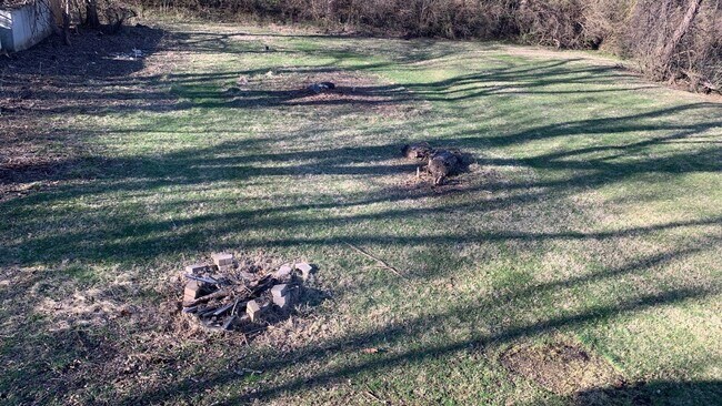 Backyard - 117 Franke Ave