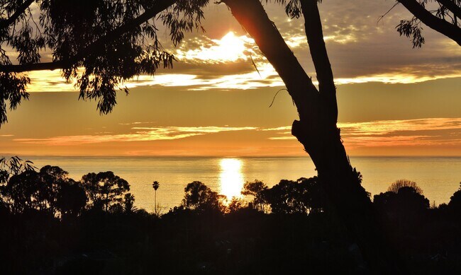 Foto del edificio - Channel View Apartments