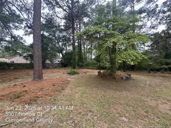 Foto del edificio - 5307 Norfolk Ct