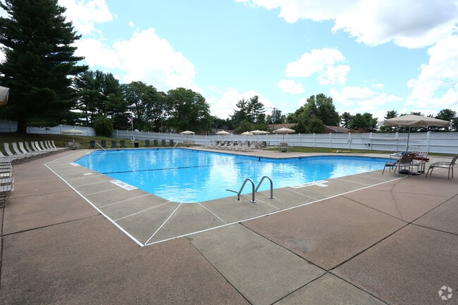 Pool - Stepny Place