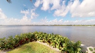 This single-floor property is defined by its exceptional waterfront setting, positioned directly along the edge of a wide, calm body of water that stretches to a tree-lined horizon under an expansive Florida sky. The outdoor grounds are a standout feature, with a well-maintained lawn leading to a natural shoreline adorned with dense, low-lying coastal vegetation. The water views are broad and unobstructed, offering a sense of openness and tranquility that serves as a constant backdrop to the property. The lush greenery surrounding the water's edge adds a tropical character to the setting, enhancing the natural ambiance. While interior imagery is limited, the property occupies a single floor, suggesting an accessible, streamlined layout. The overall atmosphere of the space is one of peaceful seclusion, with the waterfront environment playing a central role in defining the character of the property. The combination of open water, natural plantings, and abundant natural light creates an inviting and serene environment well-suited to those who appreciate a close connection to nature and scenic outdoor surroundings.