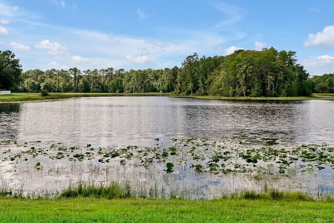 Foto del edificio - 11326 Cypress Trail Dr