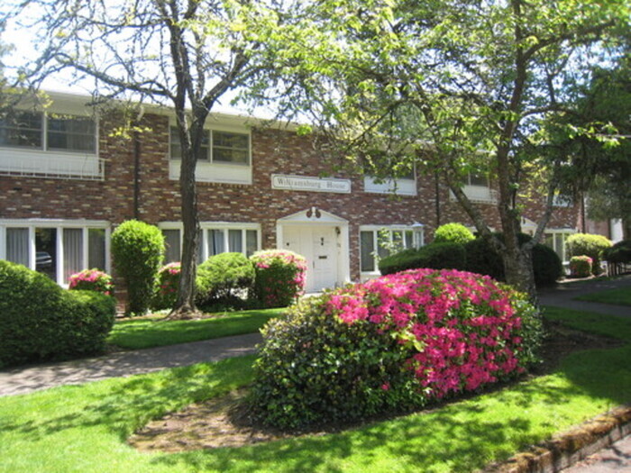 Primary Photo - 260 Wilson St S