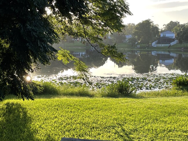 Backyard Lake front - 2401 Dickson Ave