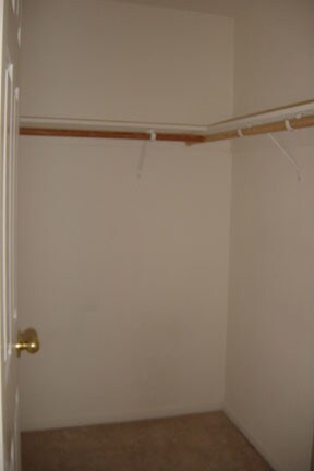 Building Photo - 979 Pinto Palm Terrace