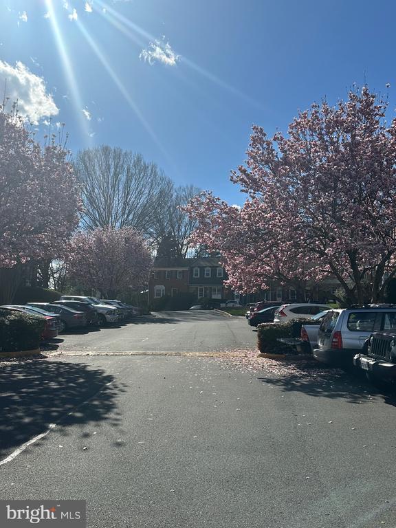 Foto del edificio - 5512 Winford Ct