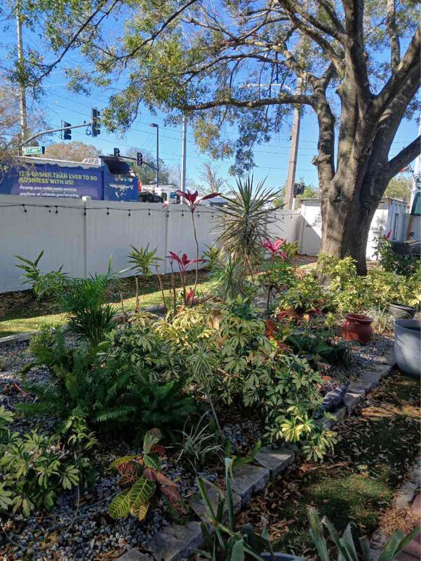 Foto del edificio - 4141 Lake Lawne Ave