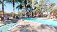 Located in Alpine, California, this single-level outdoor amenity space serves as a communal gathering and recreation area. At its centerpiece is a well-maintained swimming pool with clear blue water, complemented by an adjacent spa, both enclosed within a wrought iron perimeter fence that provides security while maintaining open sightlines to the surrounding landscaping. Towering palm trees, mature pines, and eucalyptus create a lush, shaded canopy overhead, lending the area a resort-like ambiance that reflects the Southern California climate.

A spacious concrete pool deck offers ample room for lounge seating and outdoor furniture, while a shaded patio area with an umbrella and chairs provides a comfortable spot for relaxing out of direct sun. Stucco privacy walls divide the space into distinct zones, adding both visual structure and a sense of enclosure.

Supporting the outdoor amenities is a tiled restroom facility featuring a pedestal sink, mirror, and soap dispenser, alongside an outdoor shower conveniently positioned near the pool entrance — ideal for rinsing off before or after a swim. Potted tropical plants and thoughtfully placed greenery throughout the space add color and a welcoming character. The overall setting combines practical amenities with a relaxed, nature-surrounded atmosphere.