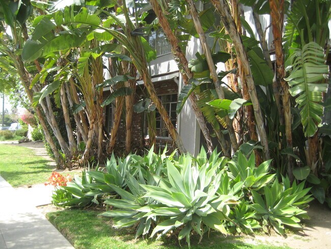 Foto del edificio - 1245 5th St