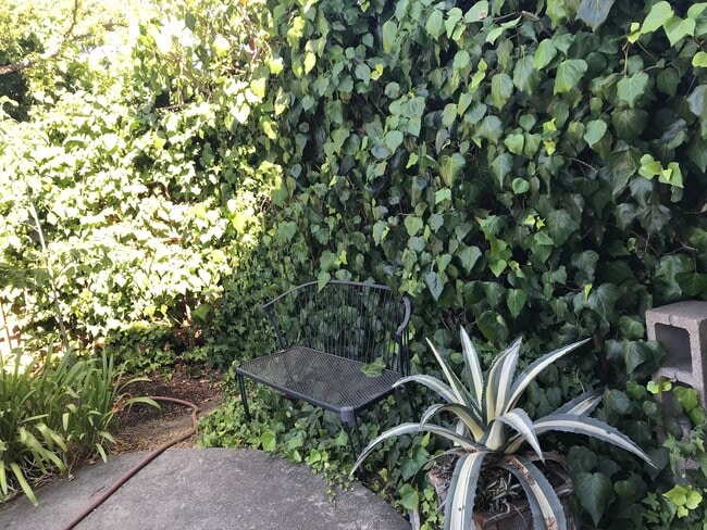 Outside - 1001 31st Ave