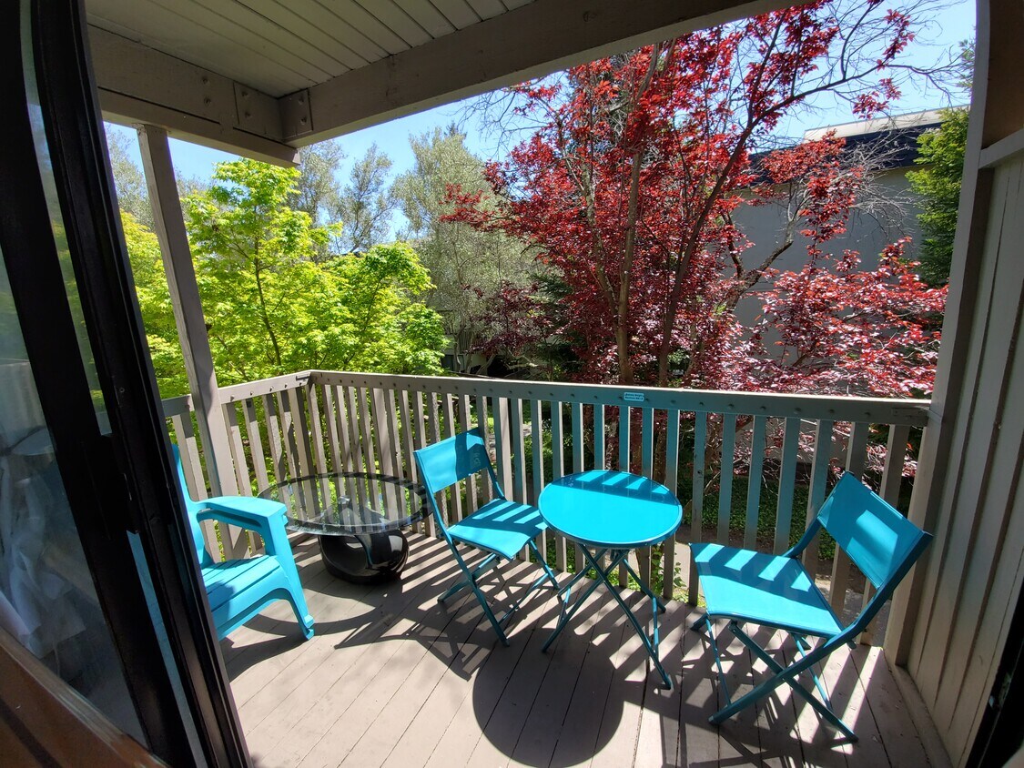 1211 Shelter Creek Ln Unit 1211, San Bruno, CA 94066 Condo for Rent