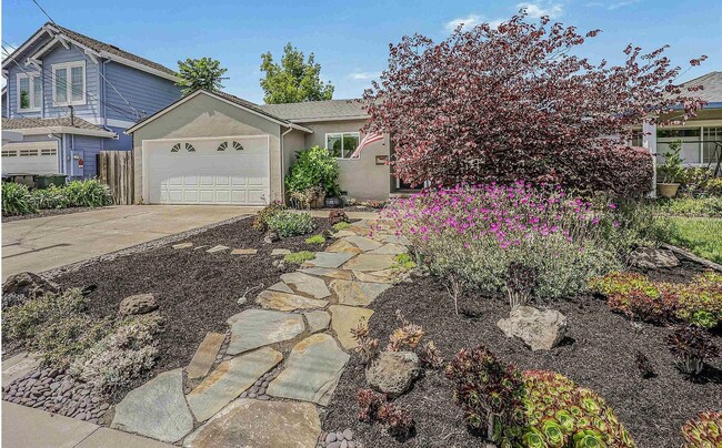 Building Photo - 343 Amador Ct