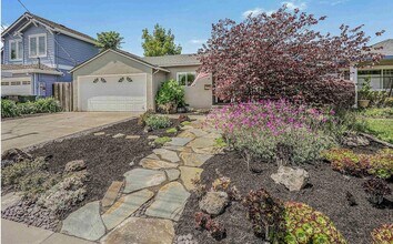Building Photo - 343 Amador Ct