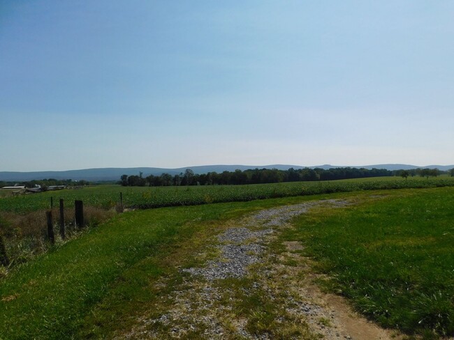 Building Photo - Renovated House with Farm Location on WV/V...