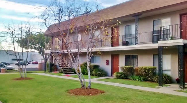 Courtyard - Sher Lane Apartments