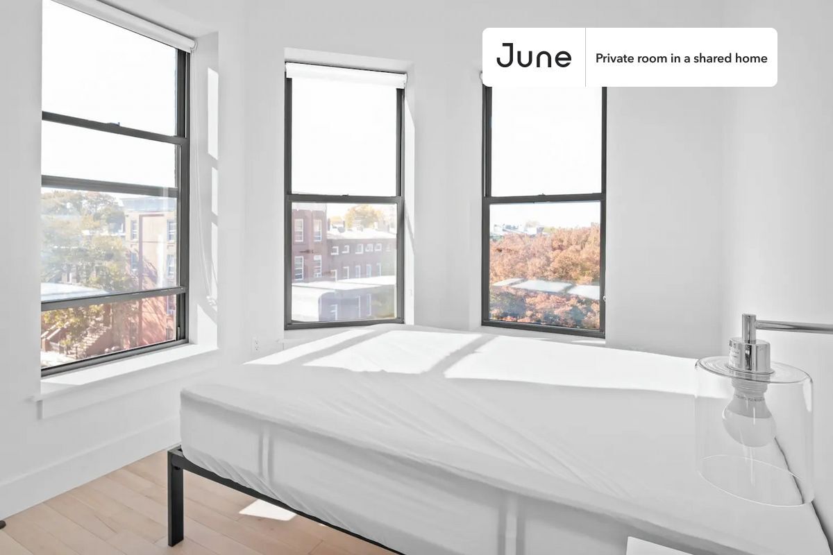 Building Photo - Modern ROOM at The Owens House