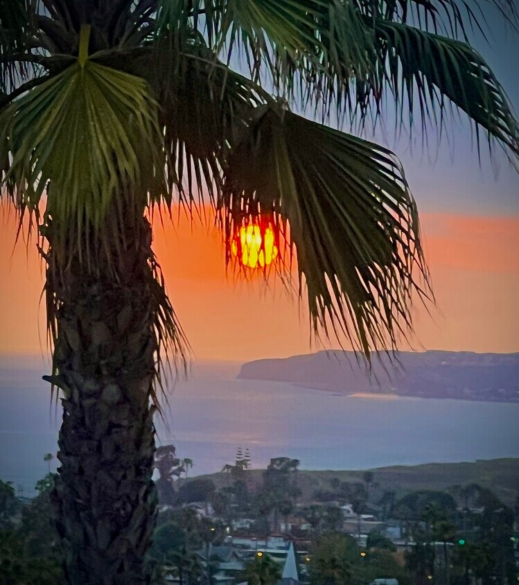 Catalina, Dana Point Harbor nd San Clemente Island VIEWS - 204 S La Esperanza