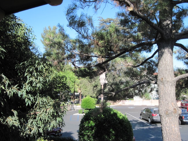 Building Photo - 808 Santa Barbara St