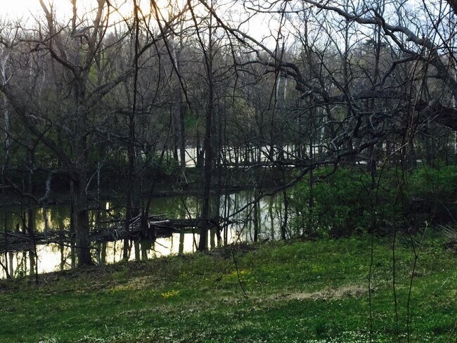 Foto del edificio - 7049 Riverside Dr