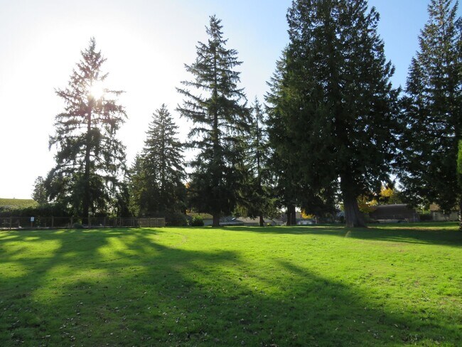 Foto del edificio - Renton Highlands 2Bd/1Ba ground floor Cond...