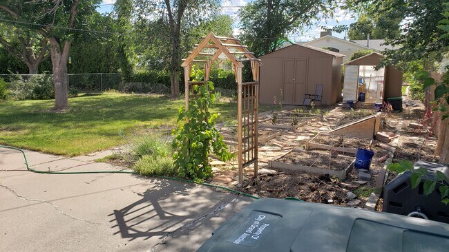 Backyard - 1315 Balsam St