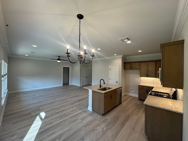 Building Photo - Brand New Construction... Just minutes to ...