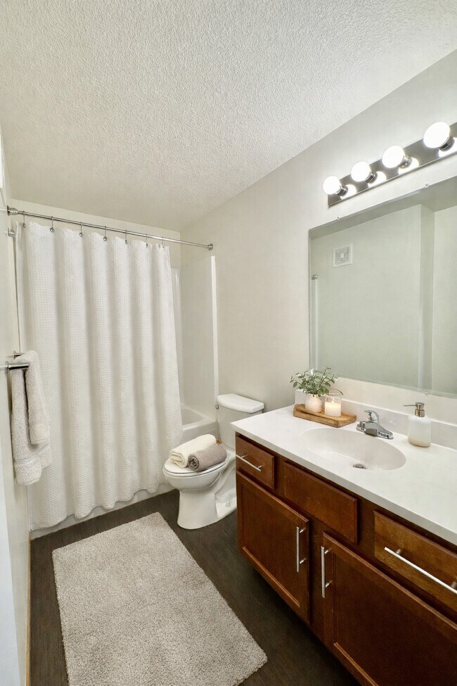 Estudio - Baño - Elm Creek Commons