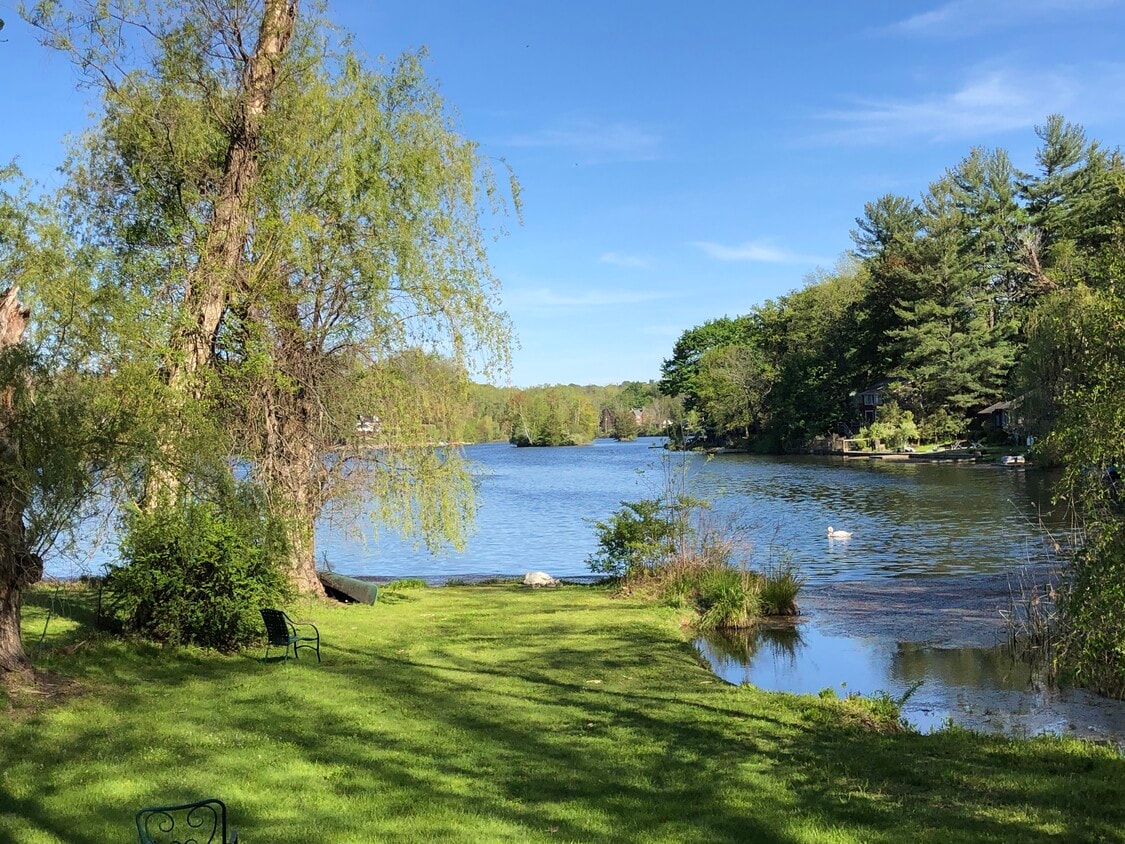 private lakeside yard - 256 Mountain Rd
