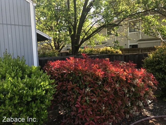 Building Photo - 2 br, 1 bath House - 2444 Sycamore Lane #1