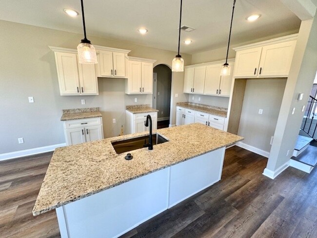Building Photo - Beautiful Brand New 4BR Home in Stonebriar...