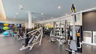 Located at Avery Lake Worth Beach in Lake Worth Beach, FL, this fitness center offers a thoroughly equipped exercise space designed to support a full range of workout routines. The room features durable rubber flooring throughout, providing both safety and comfort during training sessions. Recessed lighting illuminates the entire space evenly, contributing to an energizing and focused atmosphere.

The strength training area is well-appointed with a broad selection of Hoist-brand cable machines, a multi-station functional trainer, adjustable weight benches, and an extensive dumbbell rack offering a wide range of free weights. Large wall-to-wall mirrors line the strength zone, enhancing the sense of space and allowing users to monitor their form. Colorful stability balls and additional accessories are neatly stored nearby.

The cardio zone is positioned along the windowed perimeter, where large sliding glass doors and expansive windows frame views of a sparkling outdoor pool surrounded by palm trees. This area houses treadmills, elliptical machines, stationary bikes, and stair climbers, each equipped with individual monitors. Accent walls in bold blue add a pop of color, while potted tropical plants bring a fresh, vibrant touch to the interior. The seamless connection between indoor training and the sunny Florida outdoor environment makes this fitness center a standout amenity.