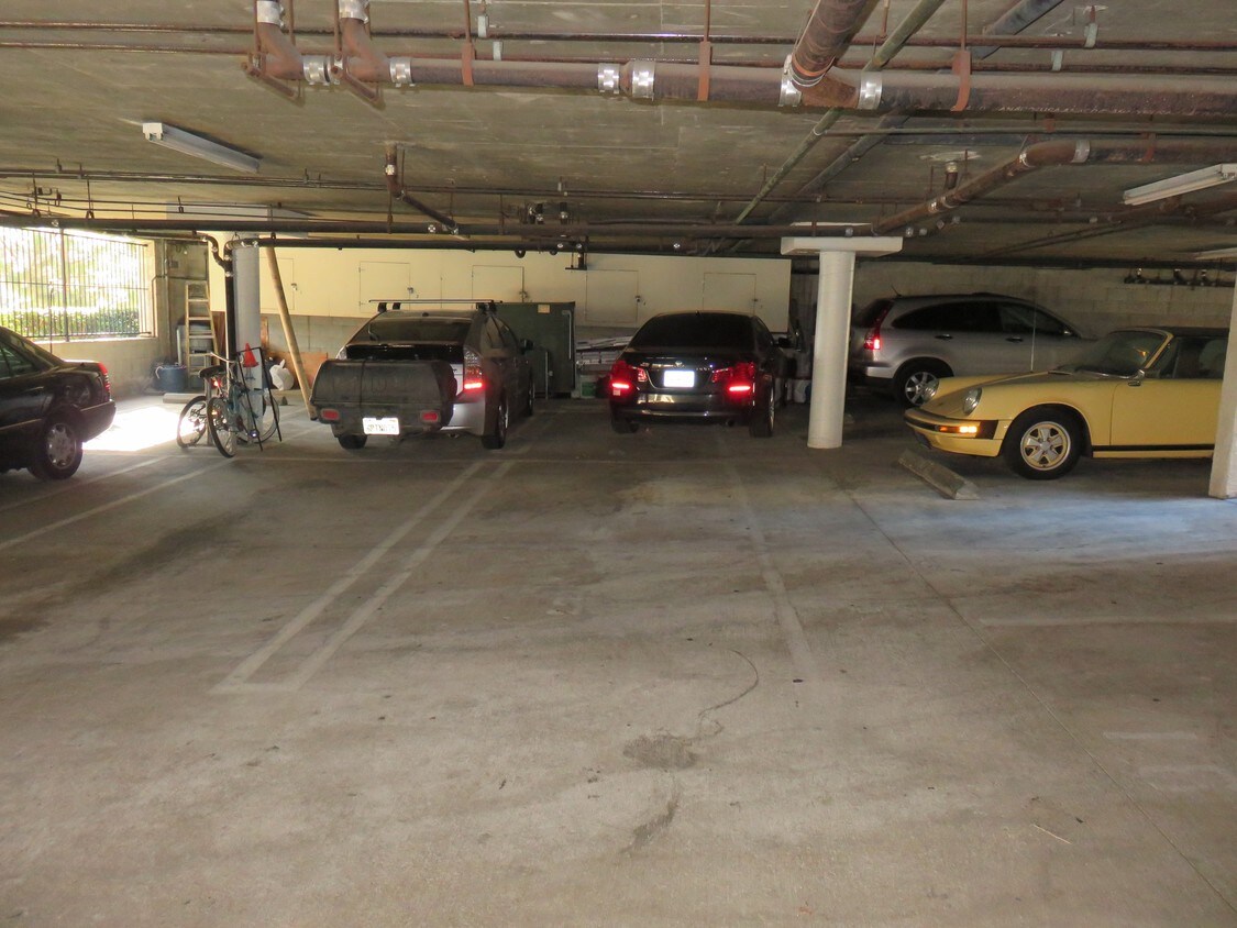 Foto del edificio - Shelby Expo Apts.