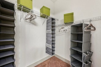 Spacious Walk-in Closet - Millennium