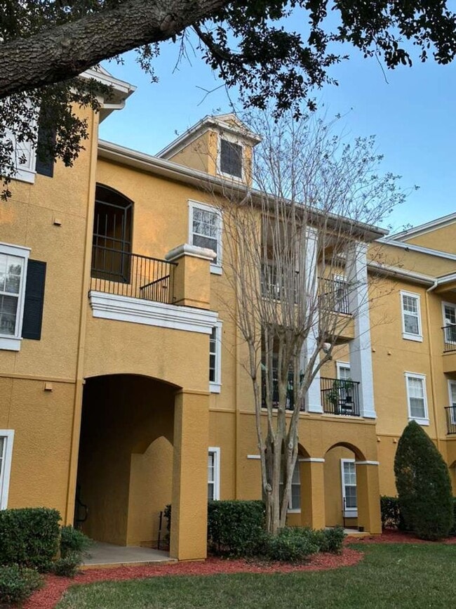 for Rent - for Rent Apartment