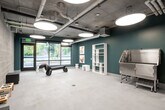 This single-floor pet care facility combines industrial aesthetics with a thoughtfully designed, dog-friendly environment. The space features exposed concrete ceilings with visible ductwork and oversized circular pendant lights that flood the interior with bright, even illumination. Bold teal accent walls contrast beautifully against raw concrete block walls and light-toned epoxy flooring, creating a visually dynamic yet clean atmosphere.

The main open area serves as a spacious play and reception zone, anchored by a sculptural balloon-dog bench that adds a playful, artistic touch. Large street-facing windows allow ample natural light to pour in while offering views of the surrounding greenery. A built-in white shelving unit lines one wall, providing functional storage and display space. Pet-themed artwork is displayed throughout, reinforcing the space's character.

A dedicated grooming area is equipped with a stainless steel professional wash station, floor drain, and additional open shelving — designed for efficient and thorough pet grooming sessions. Signage reading "YAY ALL DAY" adds an upbeat, on-brand personality to the grooming zone.

A separate area features exposed concrete block walls, low pet feeding stations, and minimal furnishings, offering a calm, utilitarian space suited for rest or feeding. Overall, the facility balances industrial design with warm, pet-forward details throughout.