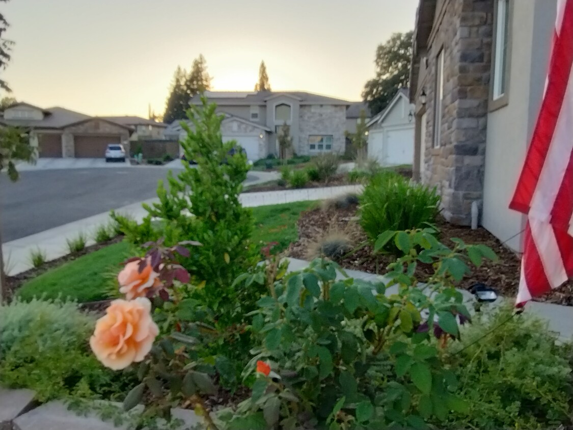 Lollybush Court and Driveway Parking - 8339 Lollybush Ct