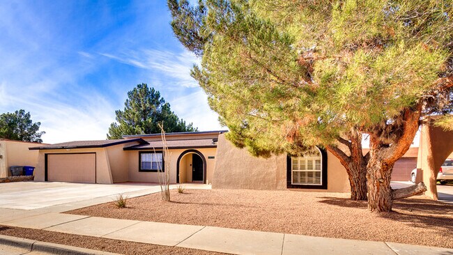 Building Photo - Upper Valley of West El Paso Rental Home