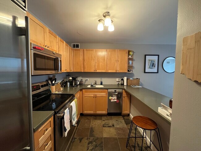 kitchen - 1540 N La Salle Dr