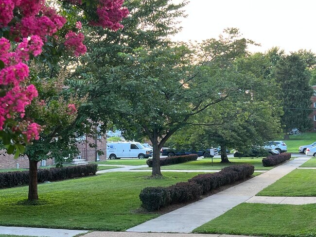 Foto del edificio - Belvedere Apartments