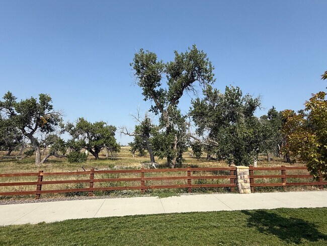 Foto del edificio - Stunning New Build in Aurora with Sleek Fi...