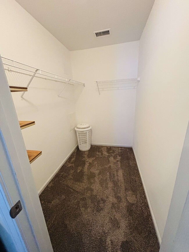 Large walk-in closet with shelving and laundry basket - 105 Lincoln Place Cir