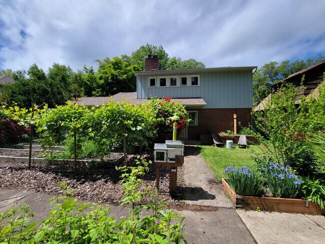 Foto del edificio - Unique 3Bed / 2Ba Mid-Century Modern home ...