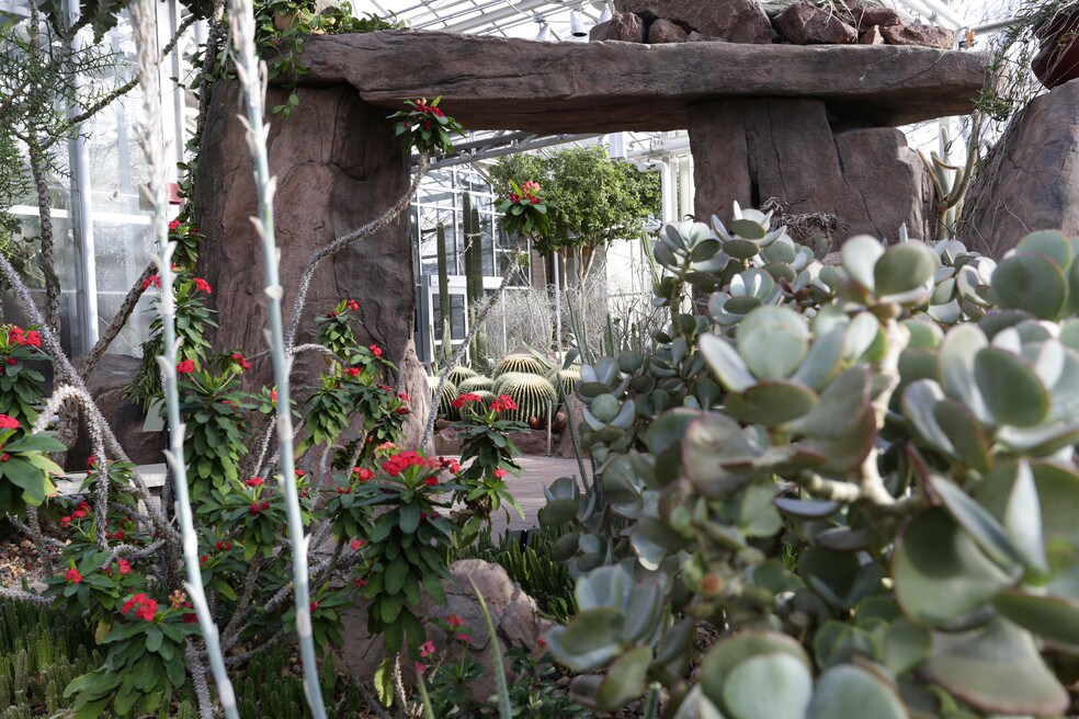 Ada Cannon Plainfield Apartments for Rent Rockford, MI 37 Rentals