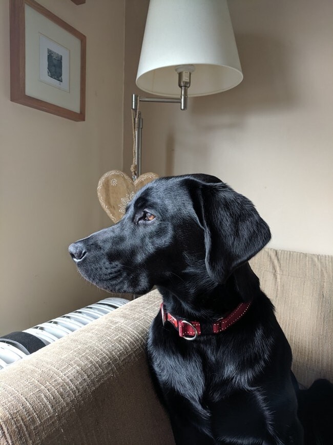 Villas at Arlington Apartments Arlington, WA