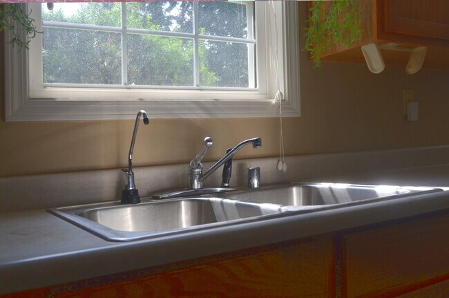 Kitchen sink with filtered water spout - 1997 Allegheny Way